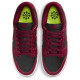 Nike Dunk Low Next Nature W DN1431-002 shoes (36.5)
