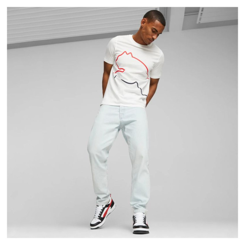 Puma Rebound v6 Low M 392328-04 shoes (43.0)