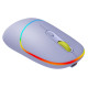 Canyon mouse MW-22 2in1 BT/ Wireless Lavender