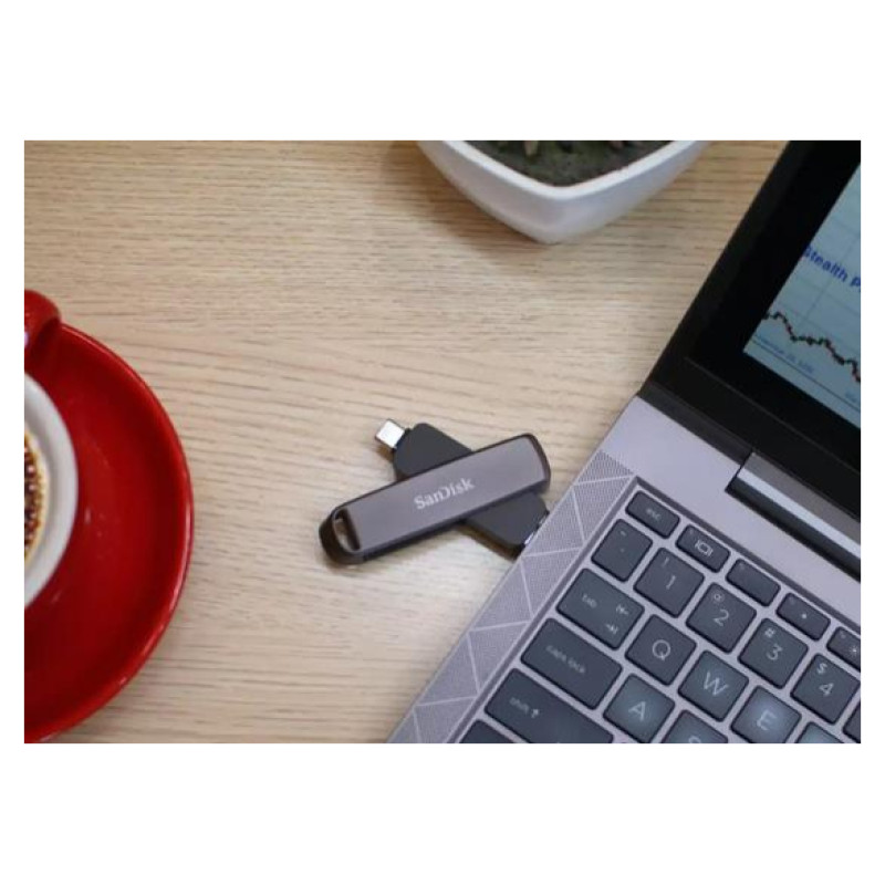 Sandisk MEMORY DRIVE FLASH USB-C 1TB/SDDDE1-1T00-G46 SANDISK