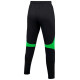 Nike Dri-FIT Academy Pro W DH9273 011 pants (L)