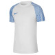 Nike Dri-FIT Academy Jsy SS M DH8031 102 T-shirt (M)