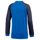 Nike Dri FIT Academy Pro Jr DH9283 463 sweatshirt (L)