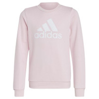 Adidas Sweatshirt adidas Big Logo Swt Jr IC6119 (128 cm)