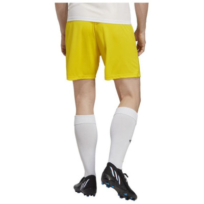 Adidas Shorts adidas Entrada 22 M IC7404 (XL)