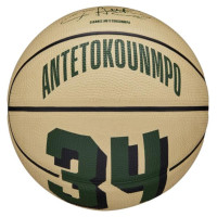 Wilson Basketball ball Wilson NBA Player Icon Giannis Antetokounmpo Mini Ball WZ4007501XB (3)