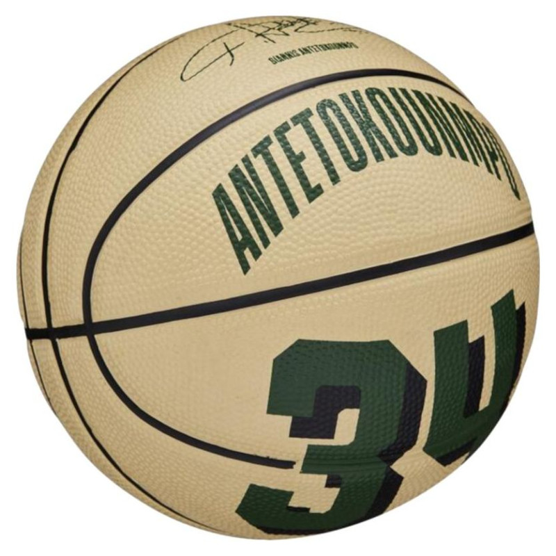 Wilson Basketball ball Wilson NBA Player Icon Giannis Antetokounmpo Mini Ball WZ4007501XB (3)