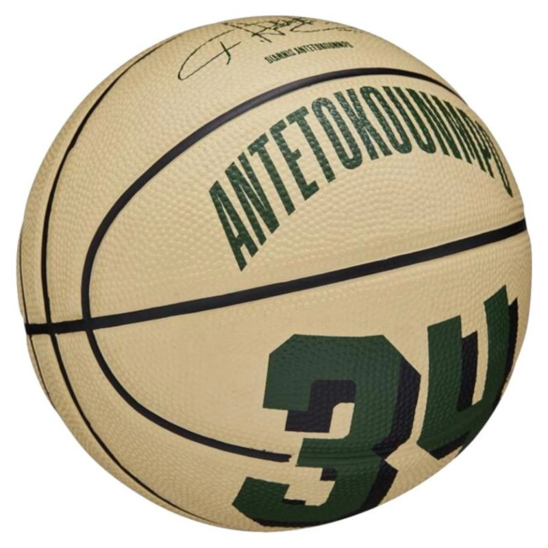 Wilson Basketball ball Wilson NBA Player Icon Giannis Antetokounmpo Mini Ball WZ4007501XB (3)