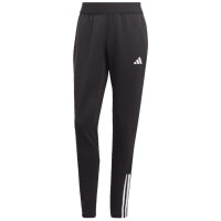 Adidas Tiro 23 Competition Training W pants HI5973 (XS)