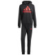 Adidas Big Logo Terry Track Suit M IP5553 (S)