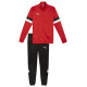 Puma Team Rise M tracksuit 658653 01 (S)