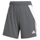 Adidas Tiro 24 W shorts IT2405 (L (173cm))