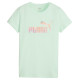 Puma ESS+ Summer Daze Tee W 679921 88 (M)