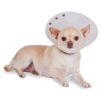 KVP Recova-Clear pēcoperācijas apkakle 19-25 cm