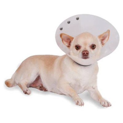 KVP Recova-Clear pēcoperācijas apkakle 19-25 cm