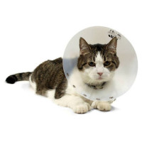 KVP Recova-Clear pēcoperācijas apkakle 19-25 cm