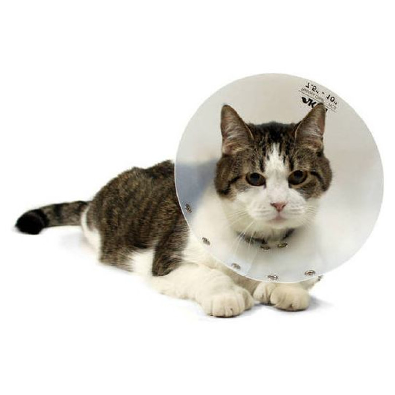 KVP Recova-Clear pēcoperācijas apkakle 19-25 cm