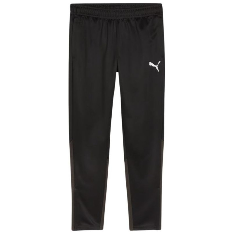 Puma Team Goal Training Pants M 658639 03 (S)