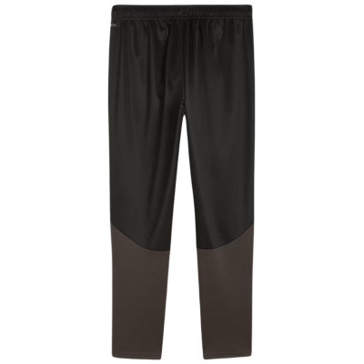 Puma Team Goal Training Pants M 658639 03 (S)