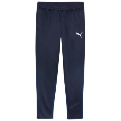 Puma Team Goal Training Pants M 658639 06 (2 XL)
