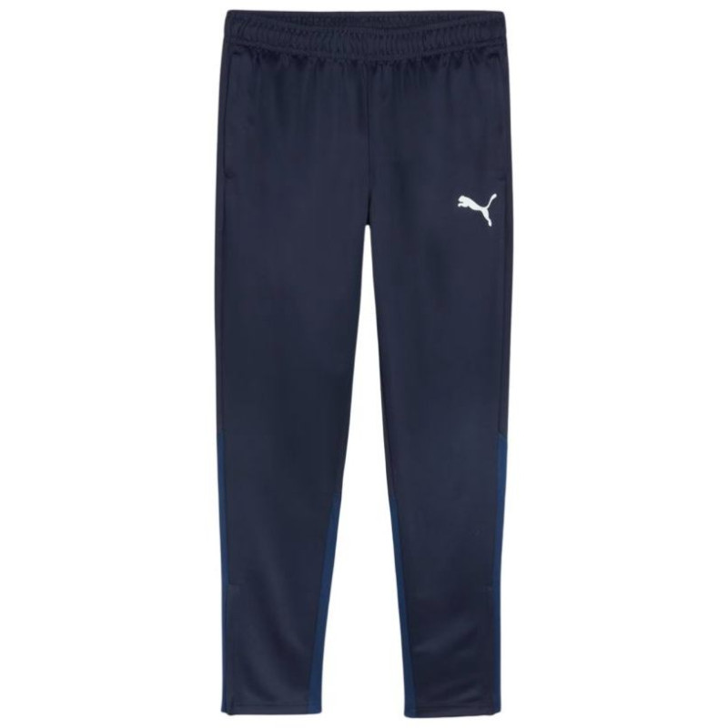 Puma Team Goal Training Pants M 658639 06 (2 XL)