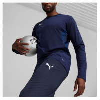 Puma Team Goal Training Pants M 658639 06 (2 XL)