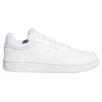 Adidas Hoops 3.0 Low Classic W GW3036 shoes (36)