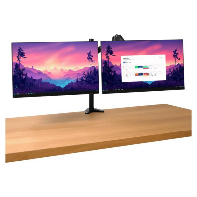 Trust MONITOR ACC ARM DUAL/MARA 25337 TRUST