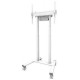 Neomounts TV SET ACC FLOOR STAND 37-100"/FL55-875WH1 NEOMOUNTS