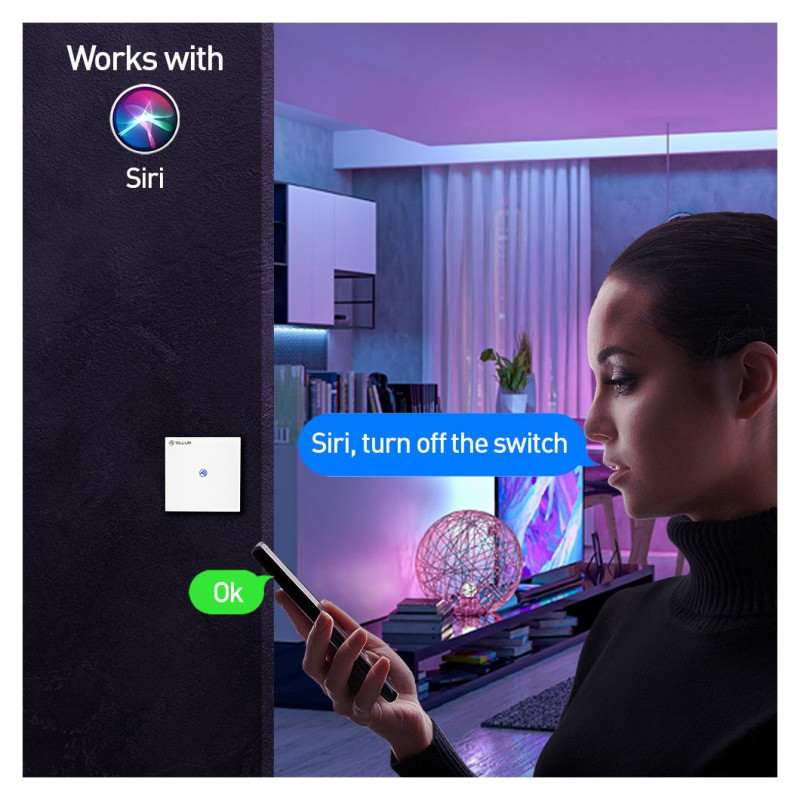 Tellur Smart WiFi switch, SS1N 1 port 1800W 10A