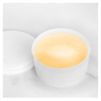 Gastroback 91552 Accessory for 42905 Set of 4 Ice Modules With Lid