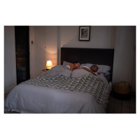 Homedics SS-WB100CE-WW, WakeBand, Your Silent Alarm, Cream