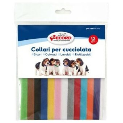 Record Kakla siksnu komplekts kucēniem 1x35 cm, 12 gb