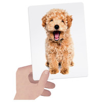 Headu Taktilās Montesori zibkartītes