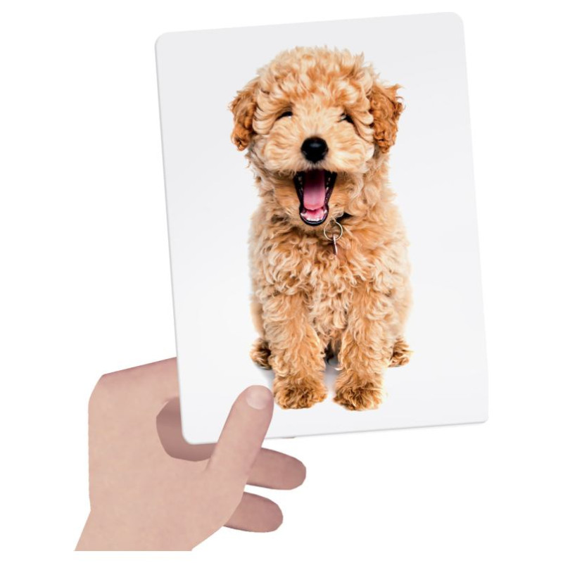 Headu Taktilās Montesori zibkartītes