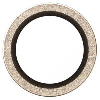 Panzerglass Hoops Glitter Tempered Glass Lens Screen Protector for iPhone Air - Gold