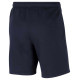Nike Park 20 Short M CW6910-451 (XL)