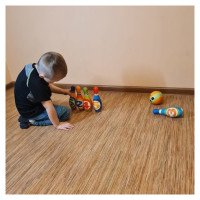 Kruzzel Komplekts BOWLING (bērnu kegļi) 24900