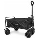Wozinsky WZP-100 beach, tourist, garden trolley, durable, wide wheels, with safety net up to 100 kg - black