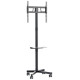 Gembird TV stiprinājums Gembird 32" - 55" TV floor stand with caster wheels