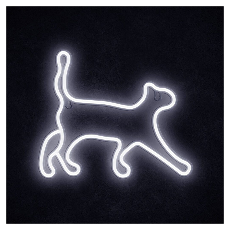 Manta SNL70WH Style Neon Lights CAT 2 White