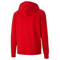 Puma teamGoal 23 Casuals Hooded Jacket M 656708 01 (S)