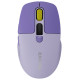 Canyon mouse MW-26 LCD Silent Dual Mode Wireless Violet