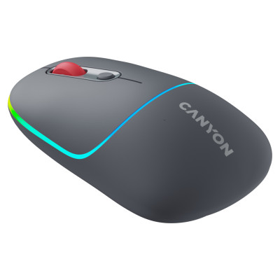 Canyon mouse MW-22 2in1 BT/ Wireless Dark Grey