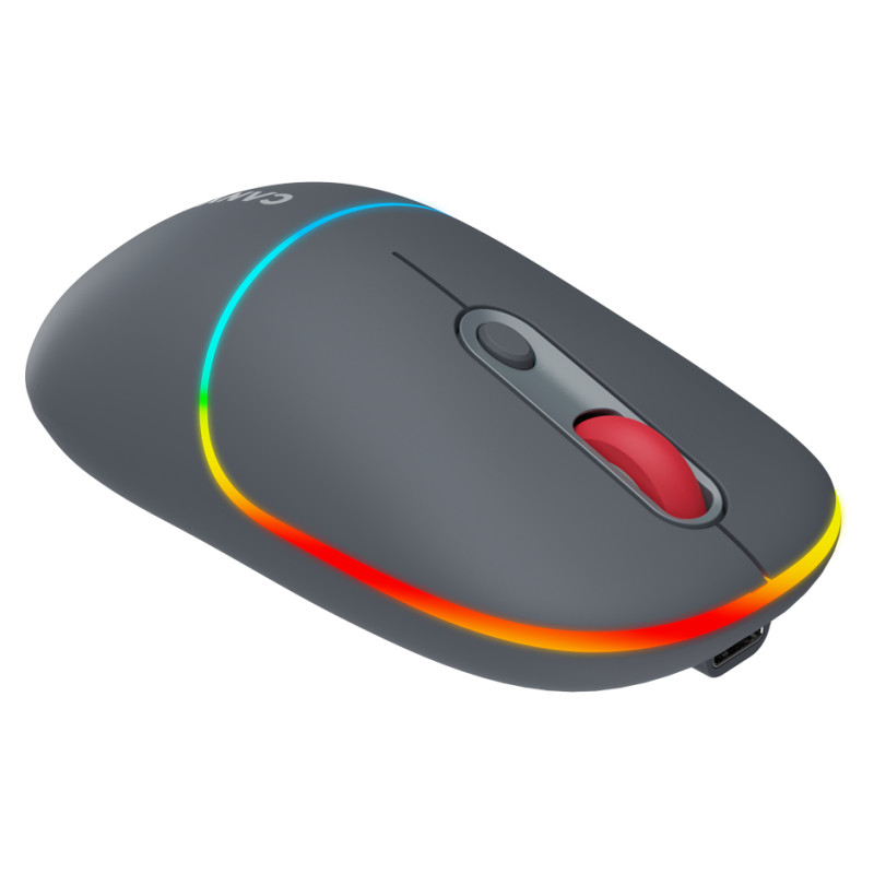 Canyon mouse MW-22 2in1 BT/ Wireless Dark Grey