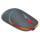 Canyon mouse MW-22 2in1 BT/ Wireless Dark Grey