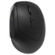 Canyon mouse MW-25 Ergonomic LED AA Dual mode Wireless Black