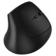 Canyon mouse MW-25 Ergonomic LED AA Dual mode Wireless Black