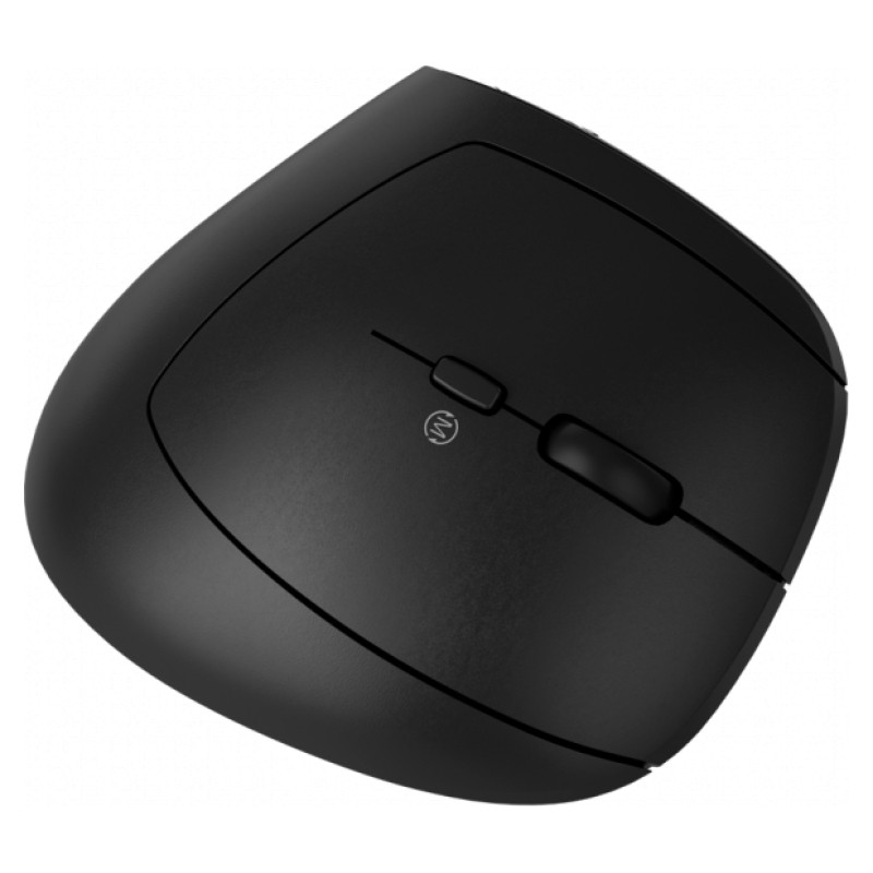 Canyon mouse MW-25 Ergonomic LED AA Dual mode Wireless Black