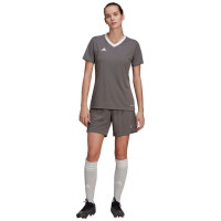 Adidas T-shirt adidas Entrada 22 Jsy W H59848 (S)